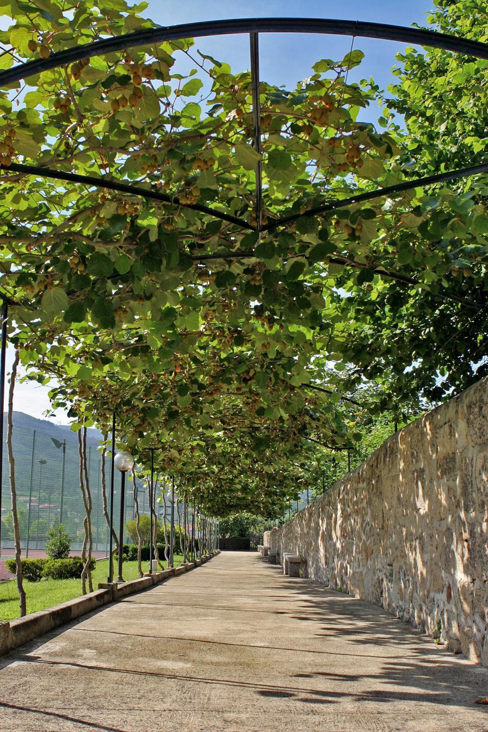 Hotel Boavista I Melgaço Exterior foto